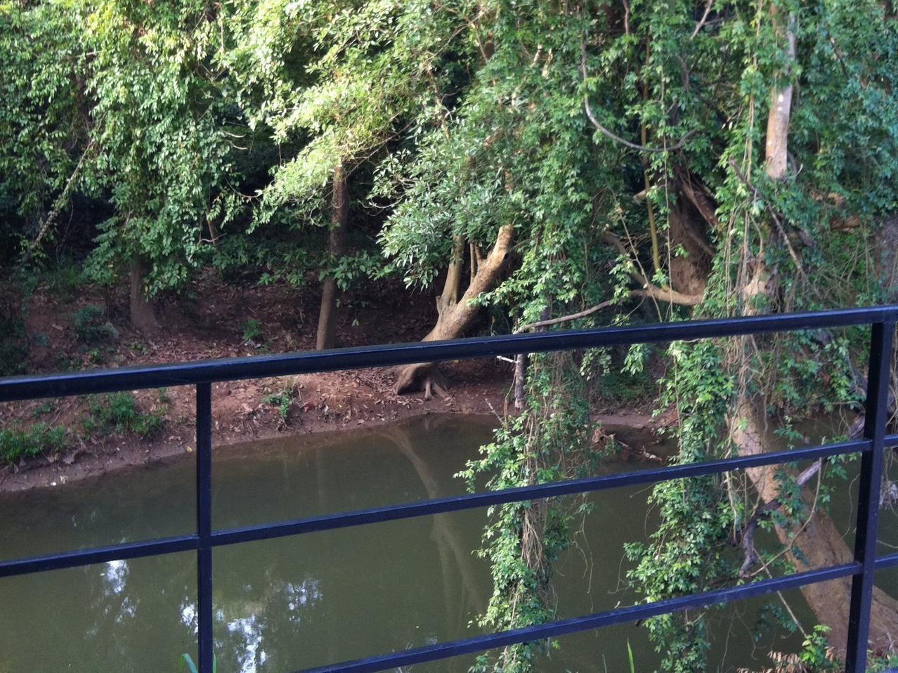The Creek At Khao Yai Hotel Pak Chong Exterior foto