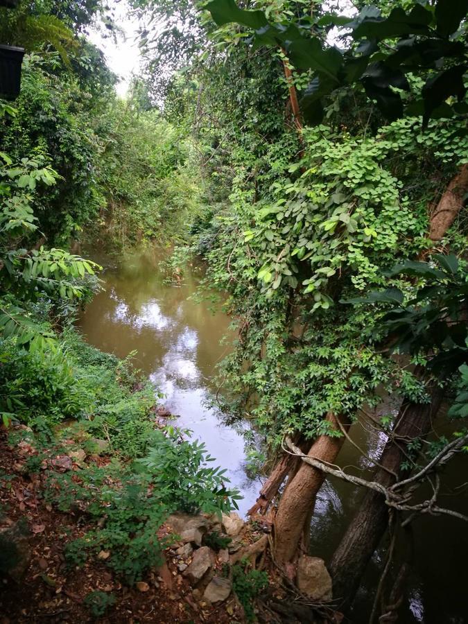 The Creek At Khao Yai Hotel Pak Chong Exterior foto